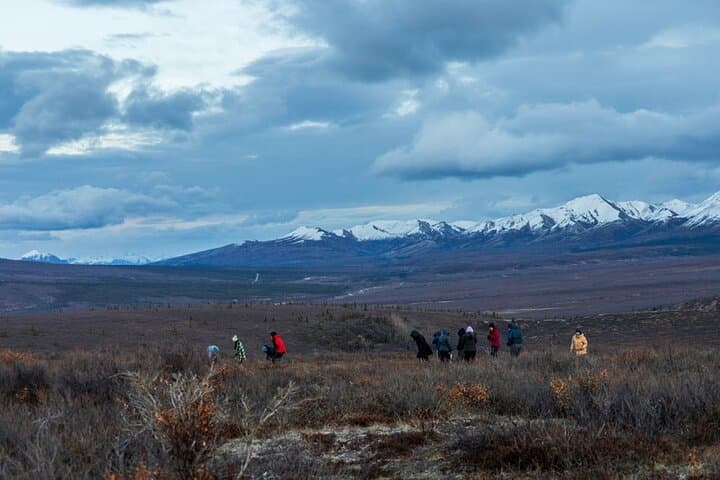 Overnight Denali National Park and Aurora Chase from Fairbanks photo 2