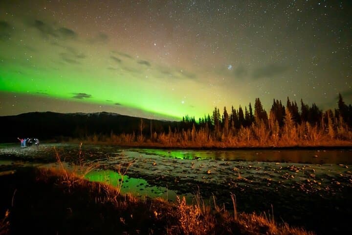 Overnight Denali National Park and Aurora Chase from Fairbanks photo 3