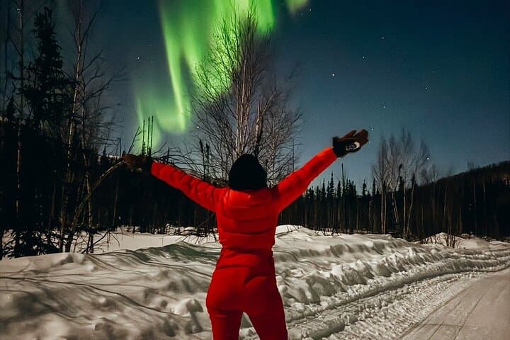 Overnight Denali National Park and Aurora Chase from Fairbanks photo 5