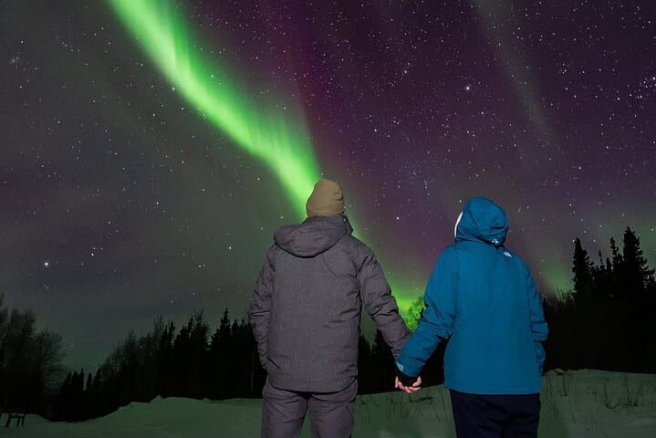 Overnight Denali National Park and Aurora Chase from Fairbanks photo 6
