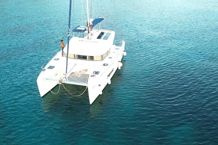Full-Day Martinique Catamaran Cruise: Dolphins, Turtles & Southern Coves