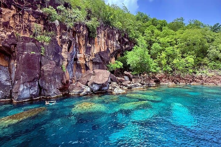 Full-Day Martinique Catamaran Cruise: Dolphins, Turtles & Southern Coves photo 5