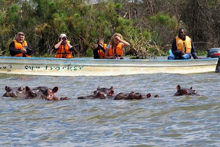 2-Day Lake Bogoria and Lake Nakuru Safari — Flamingos, Hot Springs & Rhinos photo 3