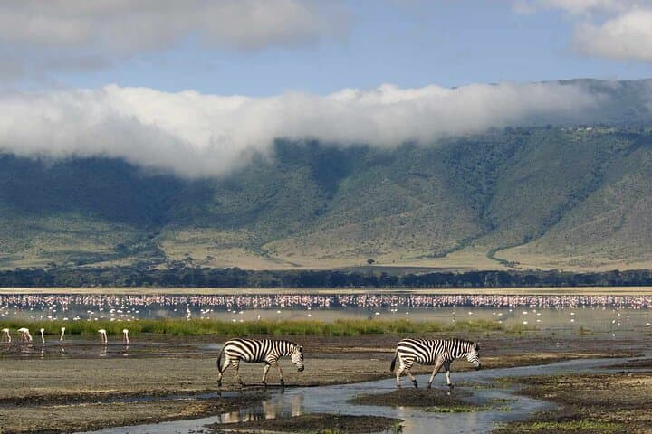 2-Day Lake Bogoria and Lake Nakuru Safari — Flamingos, Hot Springs & Rhinos photo 5