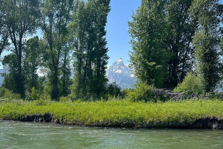 Scenic Snake River Float in Grand Teton: Easy Wildlife Cruise Under the Tetons photo 4