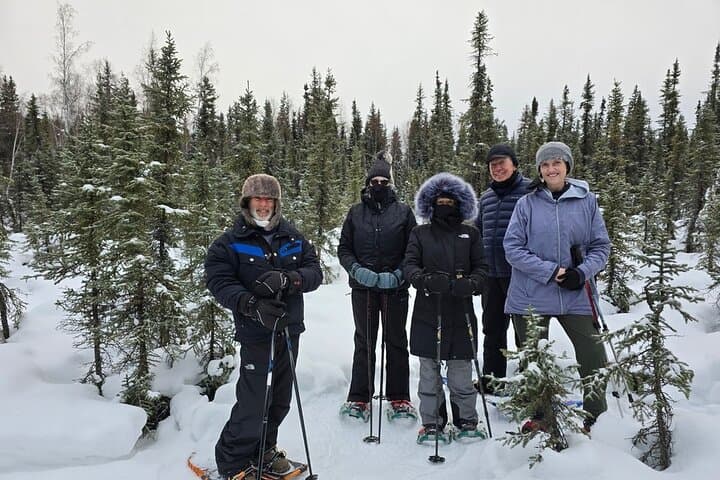 Denali National Park plus Aurora Chase: Day Trip from Fairbanks with Snowshoeing and Aurora Photography photo 3