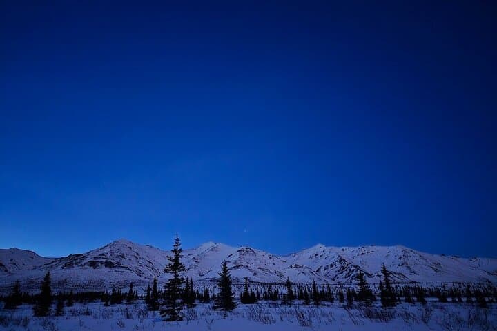 Denali National Park plus Aurora Chase: Day Trip from Fairbanks with Snowshoeing and Aurora Photography photo 5