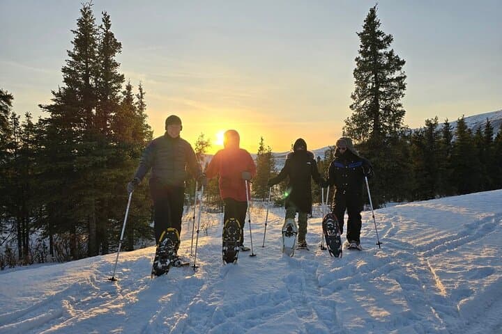 Denali National Park plus Aurora Chase: Day Trip from Fairbanks with Snowshoeing and Aurora Photography photo 6