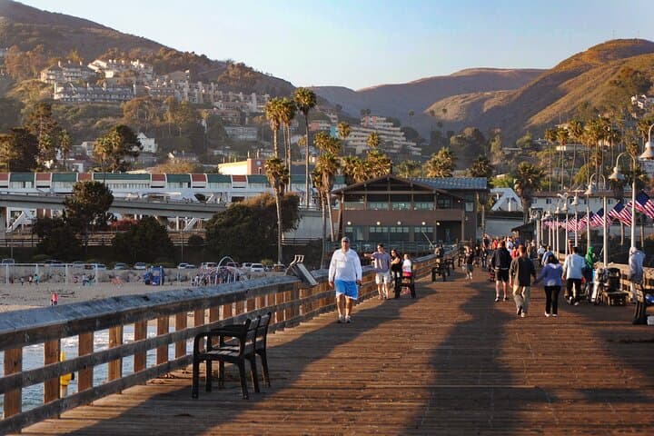 Explore California’s Pacific Coast Highway: Private Day Trip from LA to Santa Monica & Malibu photo 4