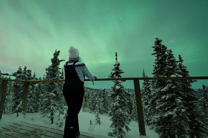 Aurora Oval Nightly Chase: All-Night Northern Lights Tour from Fairbanks photo 2