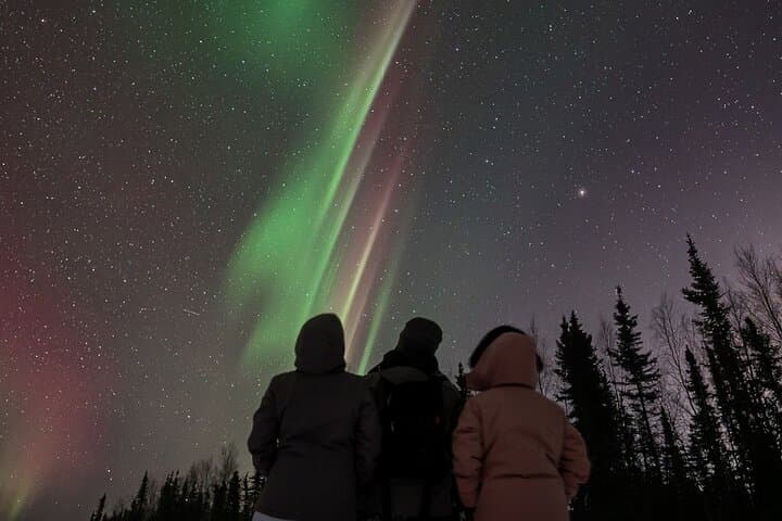 Aurora Oval Nightly Chase: All-Night Northern Lights Tour from Fairbanks photo 4