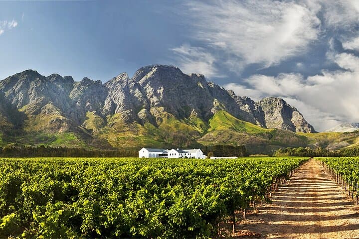 Cape Town Pinotage Private Wine Tour in Stellenbosch photo 2