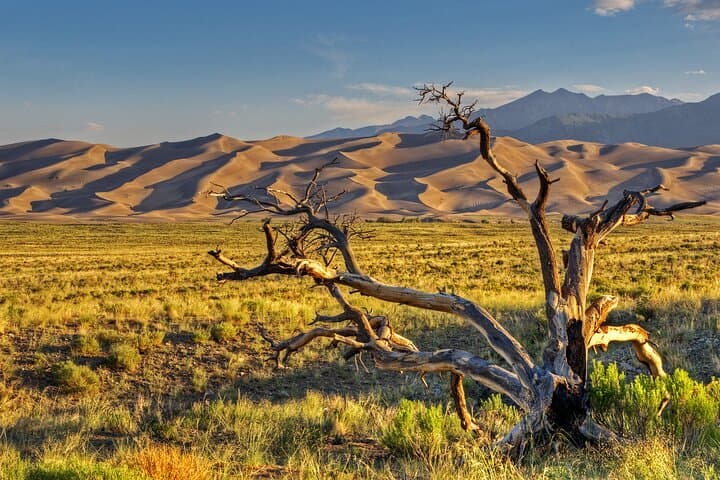 Great Sand Dunes Self-Guided Audio Tour — Dunes, Zapata Falls & Mosca Pass photo 2