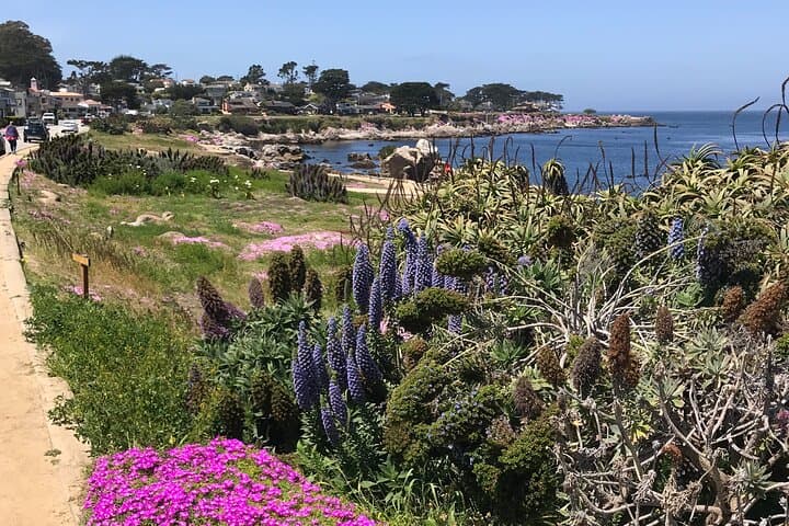 Half-Day Monterey Peninsula Sightseeing Tour — 17-Mile Drive, Carmel & Marine Wildlife photo 3