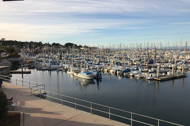 Half-Day Monterey Peninsula Sightseeing Tour — 17-Mile Drive, Carmel & Marine Wildlife photo 4