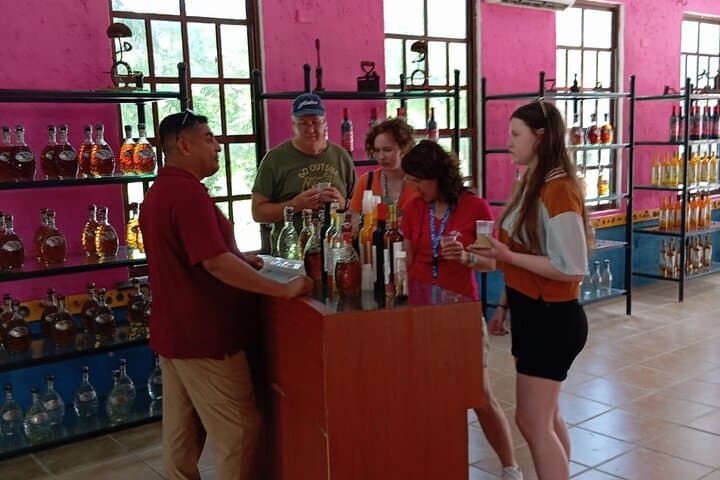 Cozumel Buggy to San Gervasio: Mayan Ruins, Snorkel & Beach Club photo 4