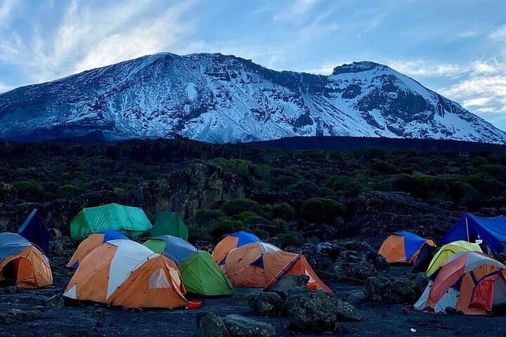 6-Day Kilimanjaro Trek: Marangu Route Summit Ascent to Uhuru Peak
