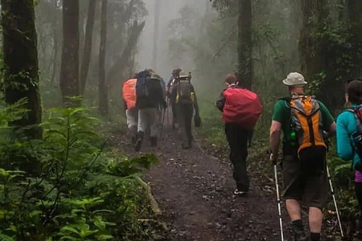 6-Day Kilimanjaro Trek: Marangu Route Summit Ascent to Uhuru Peak photo 5
