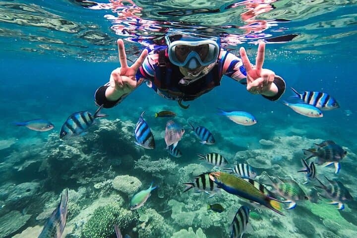 Blue Lagoon Bali Snorkeling Tour from Ubud & Sanur — Shared Transfer and Lunch