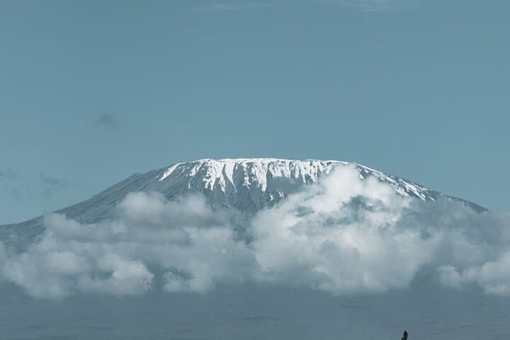 8-Day Mount Kilimanjaro Lemosho Route — Private Guided Trek to Uhuru Peak