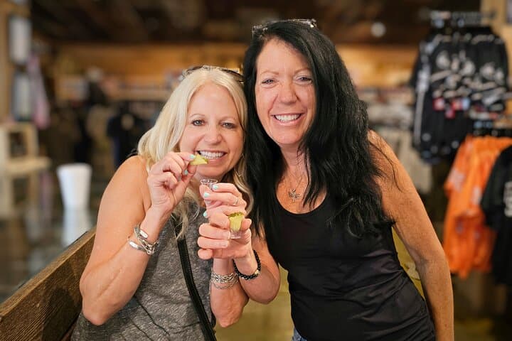 Hillbilly Boooze Cruise: Smoky Mountains Moonshine, Beer & Wine Tasting from Sevierville photo 1