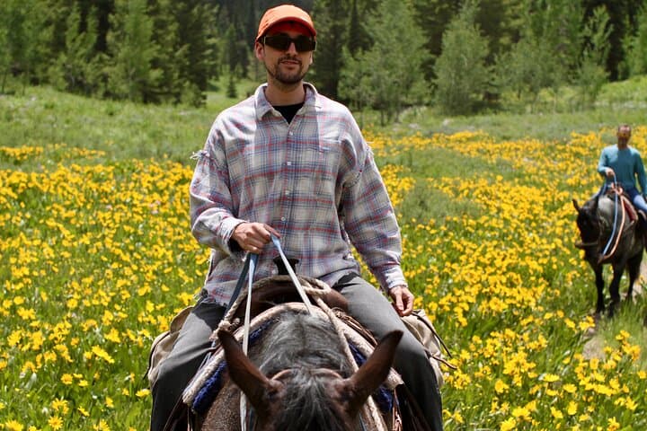Bryans Flat View Horseback Ride — Jackson Hole Guided Trail Ride in Bridger-Teton photo 3