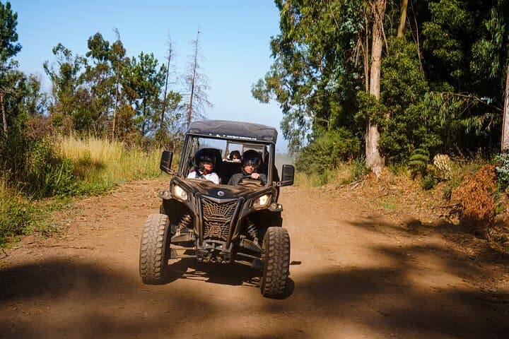 Madeira Off-Road Can-Am Buggy Adventure from Campanário photo 5