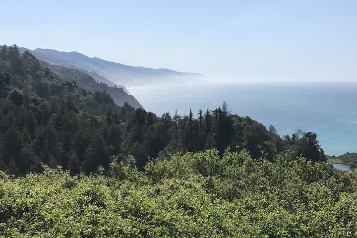 Big Sur Sightseeing Tour — Highway 1 Coastal Views, Bixby Bridge & Redwood Walk photo 5