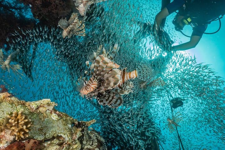 Sipadan 3-Dive Permit: Full-Day Scuba Adventure from Semporna