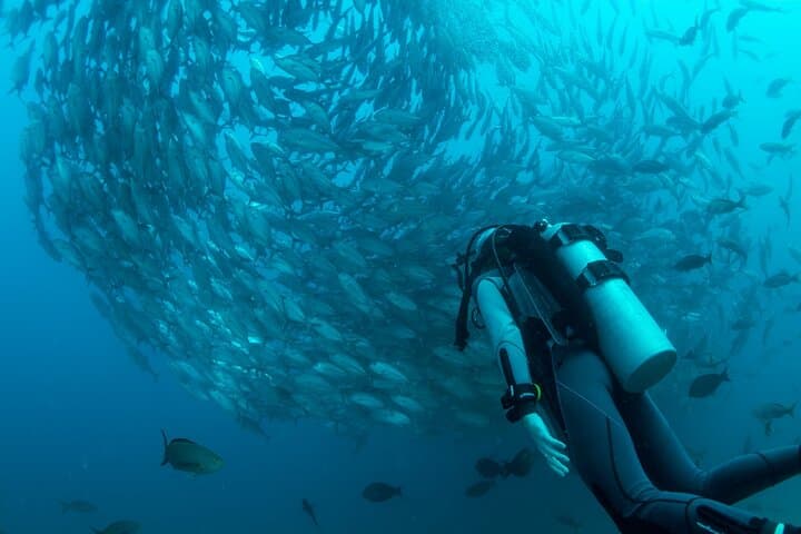Sipadan 3-Dive Permit: Full-Day Scuba Adventure from Semporna photo 3