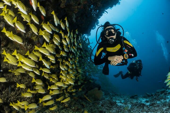 Sipadan 3-Dive Permit: Full-Day Scuba Adventure from Semporna photo 4