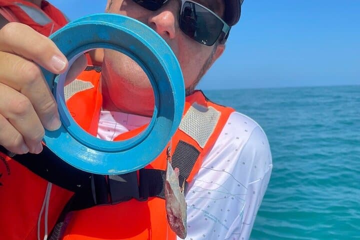 Holbox Fishing and Snorkeling at Cabo Catoche with Fresh Ceviche photo 6