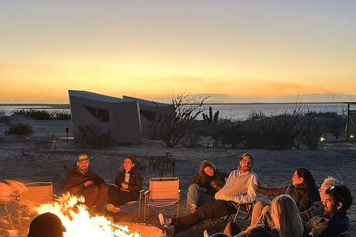 4-Day Luxury Magdalena Bay Snorkel Camp — Sardine Run, Marlin & Sea Lion Safaris photo 3