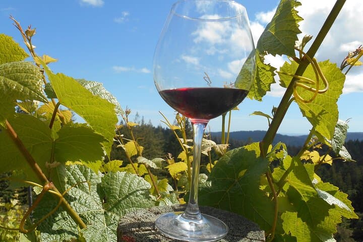 Morning Carmel Valley Wine Tasting Tour — Bernardus Vineyard Walk & Boutique Tastings photo 3