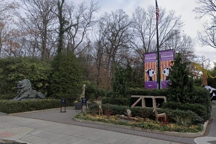 App-Led Scavenger Hunt Through Washington National Zoo: Self-Guided Animal Adventure photo 2