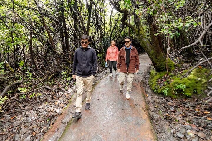 Poás Volcano Half-Day Small-Group Tour from San José — Crater Views & Coffee Farm photo 3