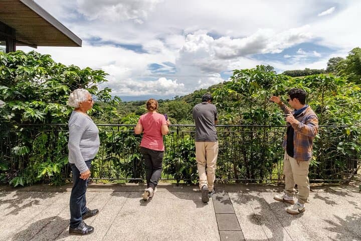 Poás Volcano Half-Day Small-Group Tour from San José — Crater Views & Coffee Farm photo 4