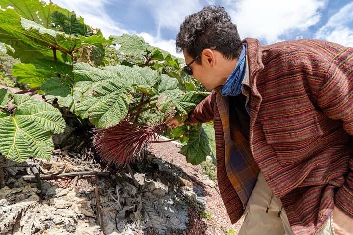 Poás Volcano Half-Day Small-Group Tour from San José — Crater Views & Coffee Farm photo 5