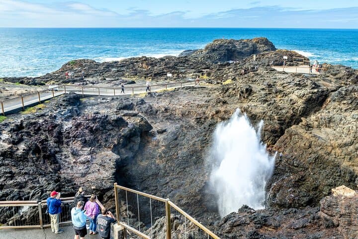 Escape Sydney: Sea Cliff Bridge, Kiama Coast & Wildlife Private Day Tour photo 3