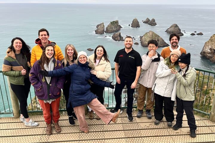 Dunedin to Invercargill via the Catlins: Nugget Point, Curio Bay & Purakaunui Falls Day Tour photo 5