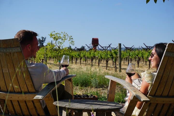 Private Romantic Wine Tasting Next to the Vines in Napa Valley photo 4