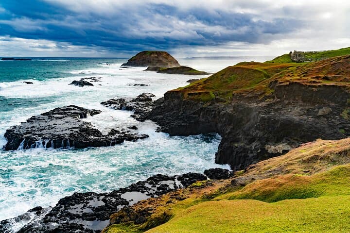 Private Phillip Island Penguin Parade Tour: Penguins, Koalas & Coastal Sights from Melbourne photo 1