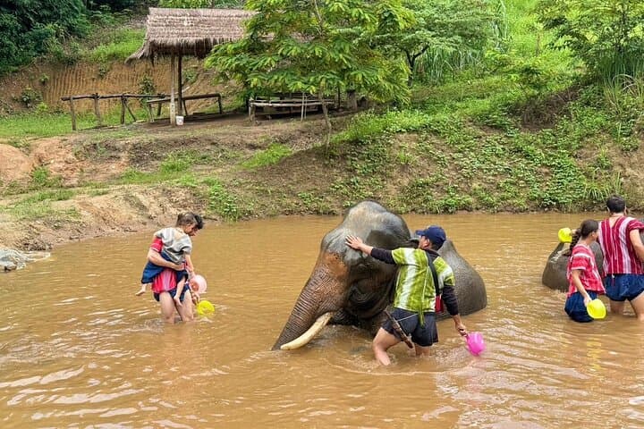 Elephant Care & Bathing at Chiang Rai Sanctuary — Ethical Encounter and River Bath photo 4