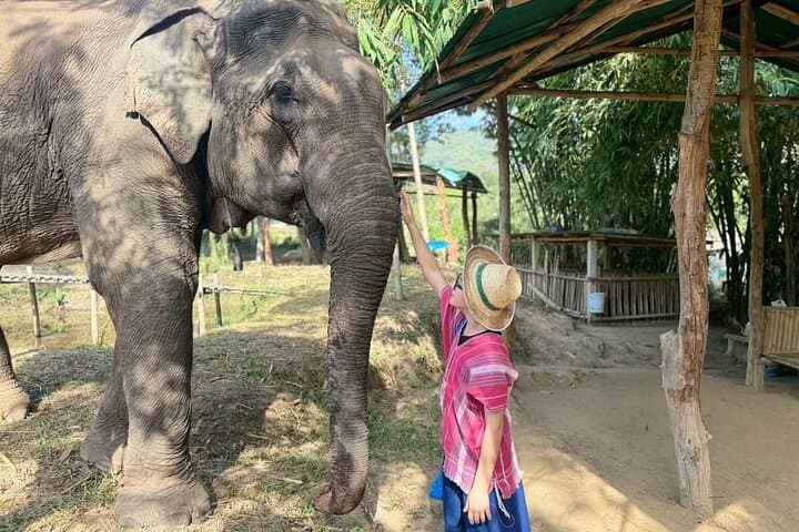 Elephant Care & Bathing at Chiang Rai Sanctuary — Ethical Encounter and River Bath photo 2
