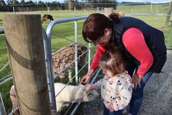 Milford Sound Nature Cruise and Te Anau Farm Experience — 2-Day Fiordland Tour