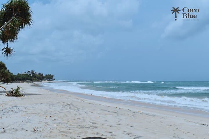 Galle Day Trip from Colombo: Koggala Lake, Galle Fort & Coastal Wildlife photo 5