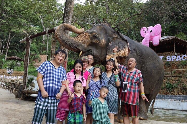 Ethical Elephant Encounters in Patong: Half-Day at Patong Elephant Hug photo 6