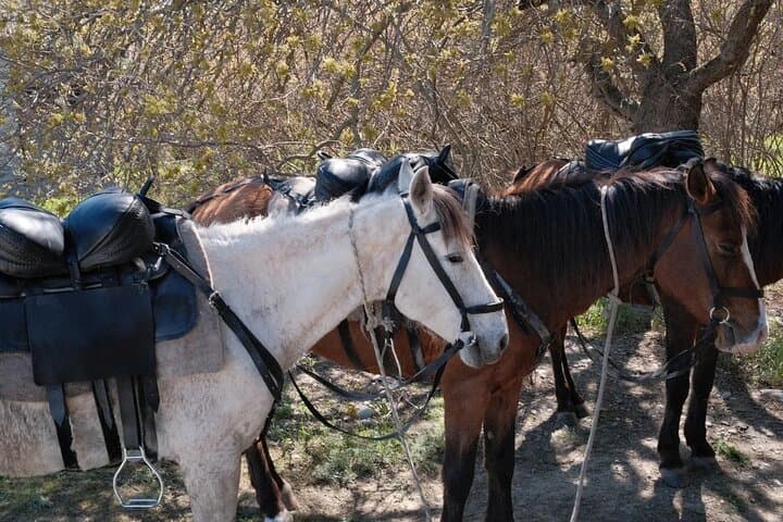 Ride the Ancient Horse Migration: Tusheti to Vashlovani 260 km photo 3