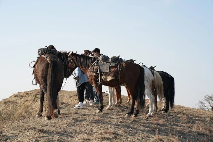 Ride the Ancient Horse Migration: Tusheti to Vashlovani 260 km photo 4