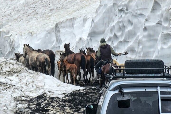 Ride the Ancient Horse Migration: Tusheti to Vashlovani 260 km photo 2